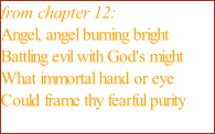 from chapter 12: Angel, angel burning bright  Battling evil with God's might  What immortal hand or eye  Could frame thy fearful purity